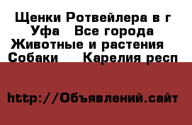 Щенки Ротвейлера в г.Уфа - Все города Животные и растения » Собаки   . Карелия респ.